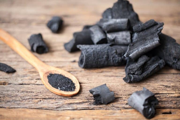 Is Activated Charcoal Good for Succulents?