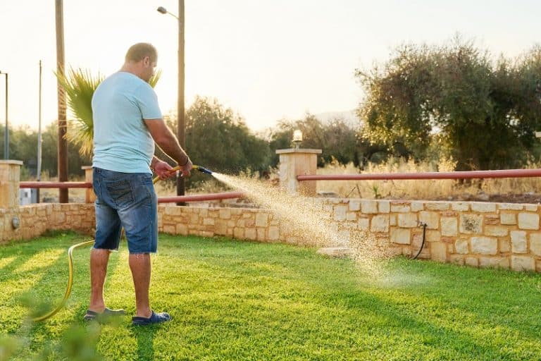 How Long Does Hydroseed Take to Grow? - Gardential.com